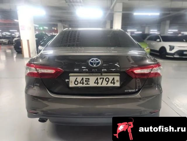 Toyota Camry Camry (XV70) 2019 года - вид 2
