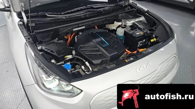Kia Niro Niro Plus 2022 года - вид 6
