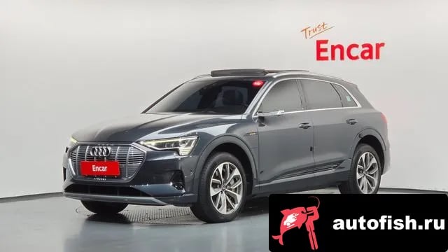 Audi e-tron e-Tron 2020 года - автомобиль из Южной Кореи