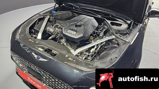 Genesis G70 The New G70 Shooting Break 2022 года - вид 6