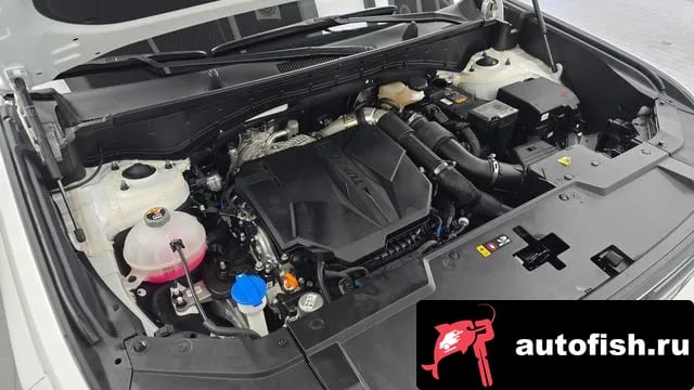 Hyundai Santafe San Tafe (MX5) 2025 года - вид 6