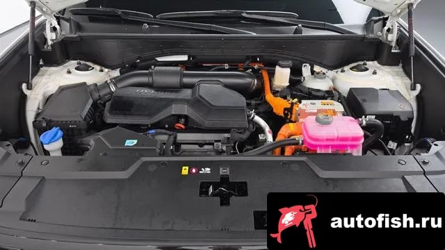 Hyundai Santafe San Tafe (MX5) 2025 года - вид 6