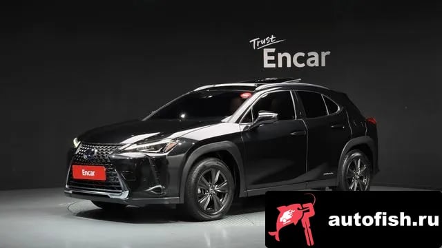 Lexus UX UX250h 2019 года - вид 1