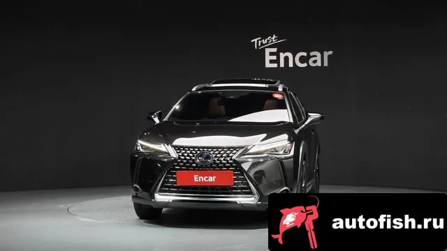 Lexus UX UX250h 2019 года - вид 3