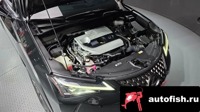 Lexus UX UX250h 2019 года - вид 6