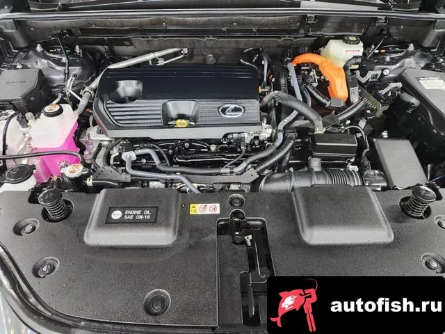 Lexus NX NX350h Second generation 2026 года - вид 6