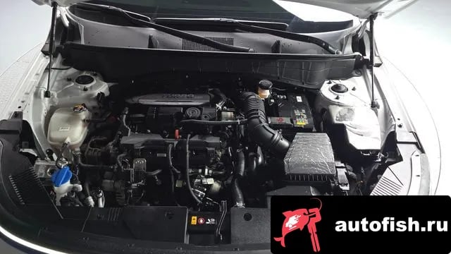 Hyundai Kona Kona (SX2) 2024 года - вид 6