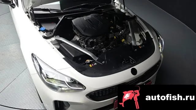 Kia Stinger Stinger Meister 2022 года - вид 6