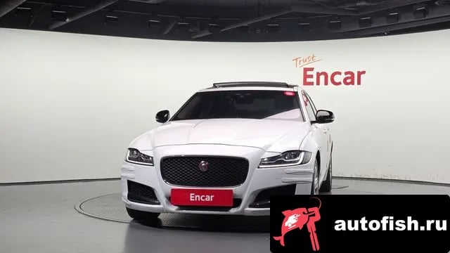 Jaguar XF XF (X260) 2019 года - вид 3
