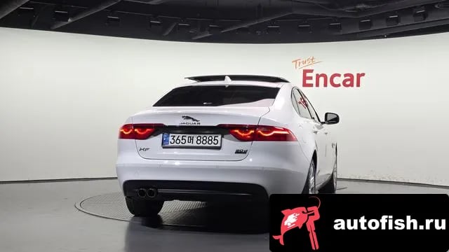 Jaguar XF XF (X260) 2019 года - вид 4