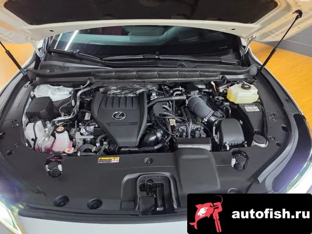 Lexus RX RX500h 5th generation 2025 года - вид 6