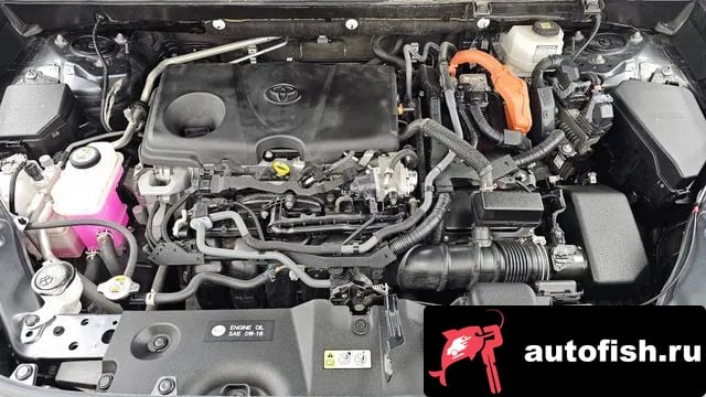 Toyota RAV4 RAV4 5th Generation 2024 года - вид 5