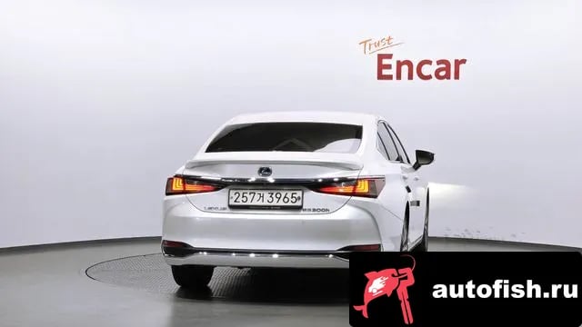 Lexus ES ES300h 7th generation 2020 года - вид 4
