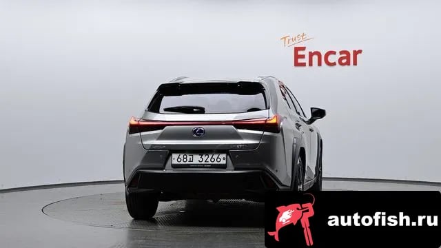 Lexus UX UX250h 2019 года - вид 4