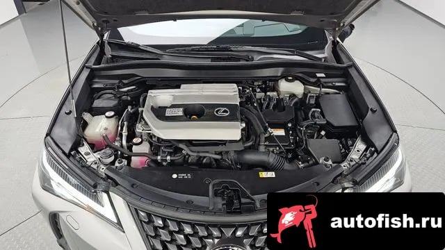 Lexus UX UX250h 2019 года - вид 6