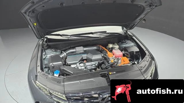 Hyundai Tucson Tucson Hybrid (NX4) 2021 года - вид 6