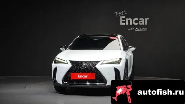 Lexus UX UX300h 2025 года - вид 2