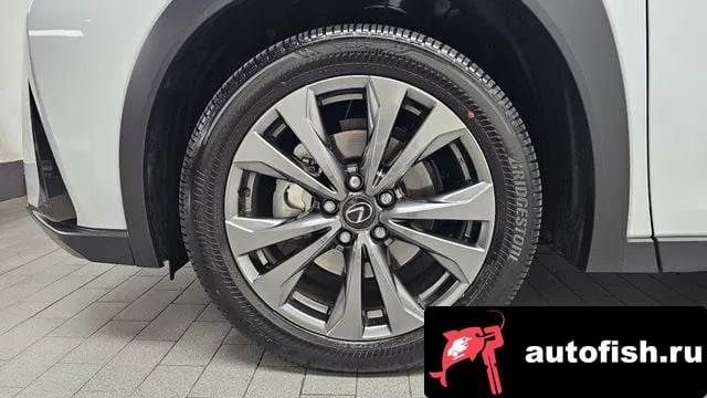 Lexus UX UX300h 2025 года - вид 4