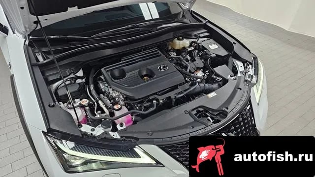 Lexus UX UX300h 2025 года - вид 5