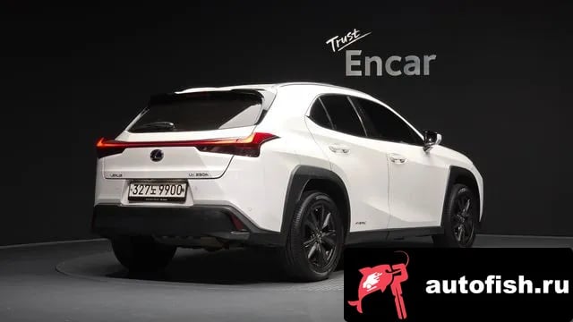 Lexus UX UX250h 2019 года - вид 1