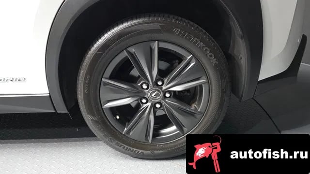 Lexus UX UX250h 2019 года - вид 4