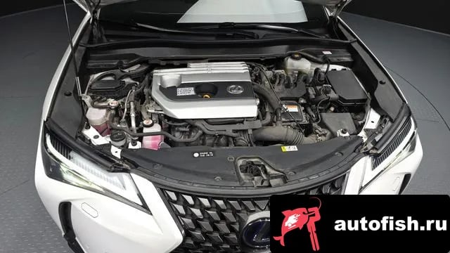 Lexus UX UX250h 2019 года - вид 5