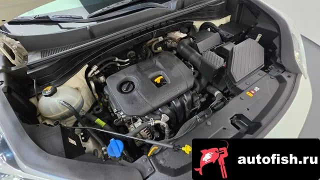 Kia Sportage Sportage The Bold 2018 года - вид 6