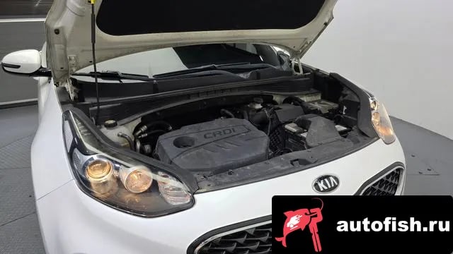 Kia Sportage Sportage The Bold 2018 года - вид 6