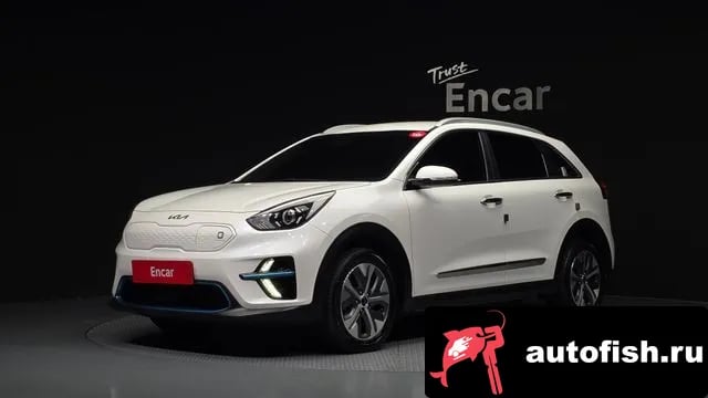 Kia Niro Niro EV 2021 года - автомобиль из Южной Кореи