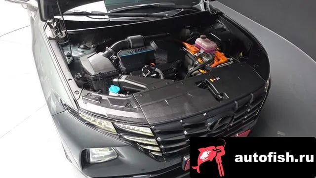 Hyundai Tucson Tucson Hybrid (NX4) 2021 года - вид 6
