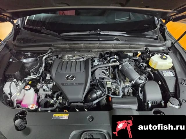 Lexus RX RX500h 5th generation 2025 года - вид 6
