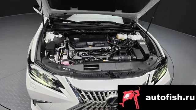 Lexus ES ES300h 7th generation 2025 года - вид 6
