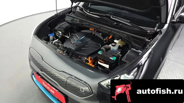 Kia Niro Niro EV 2021 года - вид 6