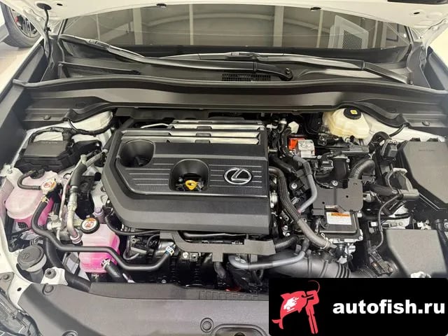 Lexus UX UX300h 2025 года - вид 6