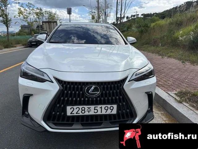 Lexus NX NX450h + 2nd generation 2024 года - похожие автомобили