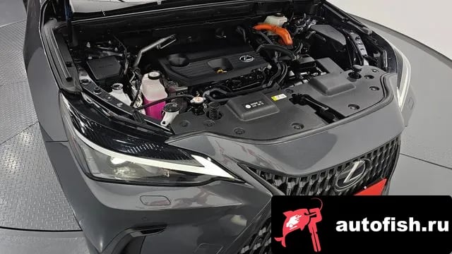 Lexus NX NX350h Second generation 2025 года - вид 6