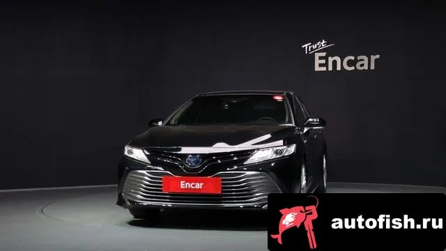 Toyota Camry Camry (XV70) 2019 года - вид 3