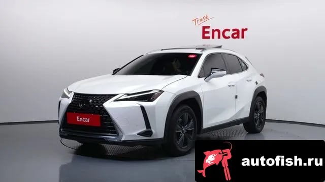 Lexus UX UX250h 2023 года - автомобиль из Южной Кореи