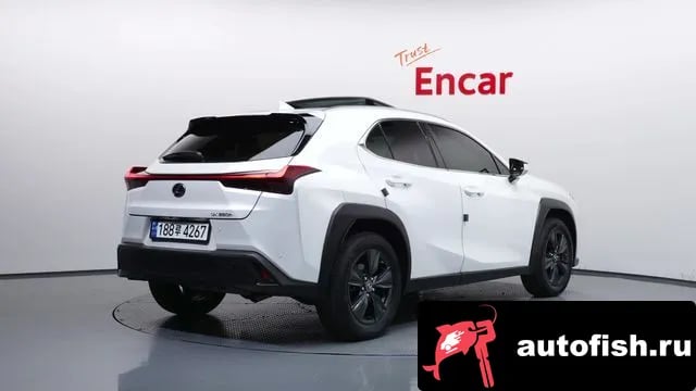 Lexus UX UX250h 2023 года - вид 2