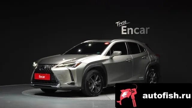 Lexus UX UX250h 2019 года - вид 1