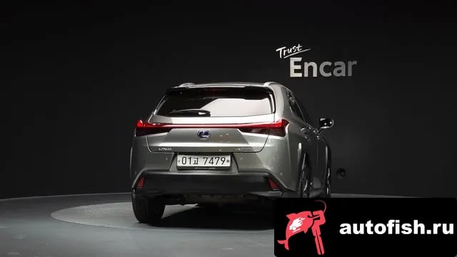 Lexus UX UX250h 2019 года - вид 4