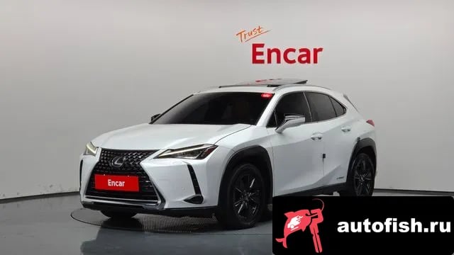 Lexus UX UX250h 2019 года - вид 1