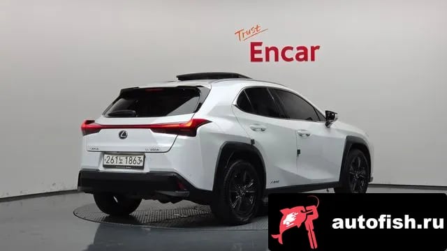 Lexus UX UX250h 2019 года - вид 2