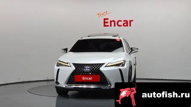 Lexus UX UX250h 2019 года - вид 3
