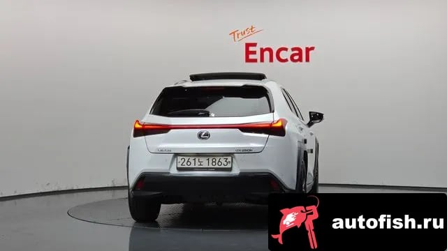 Lexus UX UX250h 2019 года - вид 4