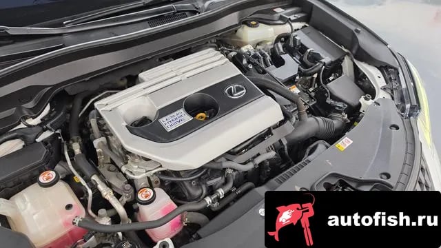 Lexus UX UX250h 2019 года - вид 6