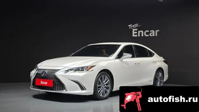 Lexus ES ES300h 7th generation 2020 года - вид 1