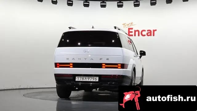 Hyundai Santafe San Tafe (MX5) 2024 года - вид 4