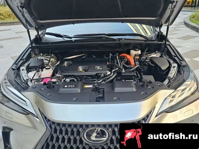 Lexus NX NX350h Second generation 2025 года - вид 6