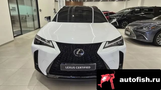 Lexus UX UX300h 2025 года - вид 3